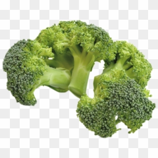 Sourced From Spain - Broccoli, HD Png Download