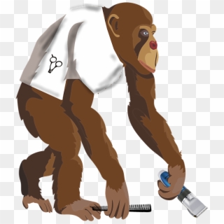 Monkey Barber Hairdresser Funny - Monkey, HD Png Download