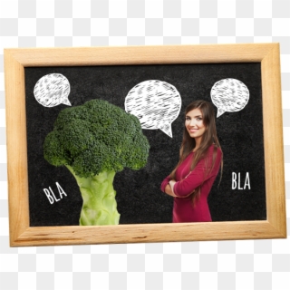 Picture Frame, HD Png Download