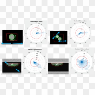 Analyzed Simulation Videos - Circle, HD Png Download