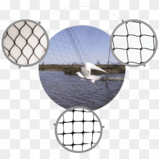Lake Bird Netting - Fishing Net, HD Png Download