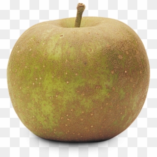 Golden Russet - Granny Smith, HD Png Download