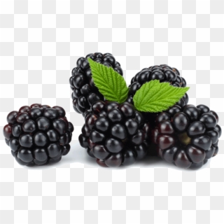 More - Blackberry, HD Png Download