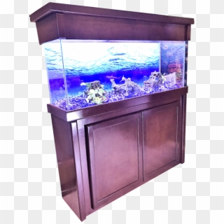55 Gallon Fish Tank Stand - Aquarium Lighting, HD Png Download