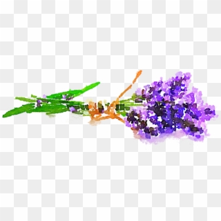 Free Png Kavender Flowers Use Freely By Ⓒ - Dibujo De Ramo De Violetas, Transparent Png