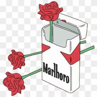 Cigarro Sticker - Marlboro And Rose, HD Png Download