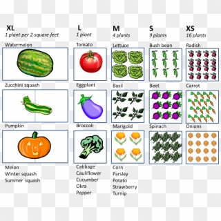 “how Much Space Do I Need For A Vegetable Garden” - Square Foot Gardening Planting Guide, HD Png Download