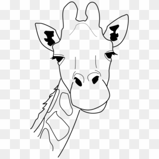 Image Freeuse Drawing At Getdrawings Com Free For Personal - Giraffe Face Coloring Pages, HD Png Download
