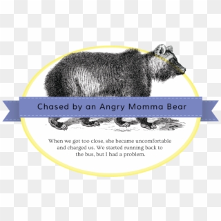 Momma Bear Badge - Punxsutawney Phil, HD Png Download