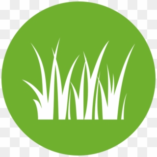 Natural Grass Look - Frigopol, HD Png Download