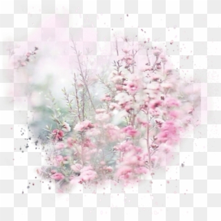#mq #pink #flower #flowers #garden #nature #landscape - Flower, HD Png Download