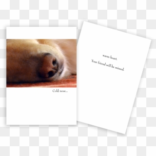 Sympathy Card Dog Nose - Golden Retriever Retirement Cards, HD Png Download