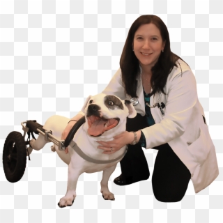 Department Doctors - Companion Dog, HD Png Download