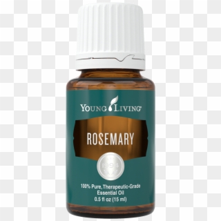 Rosemary Essential Oil Recipes - Young Living Dragon Time Oil, HD Png Download