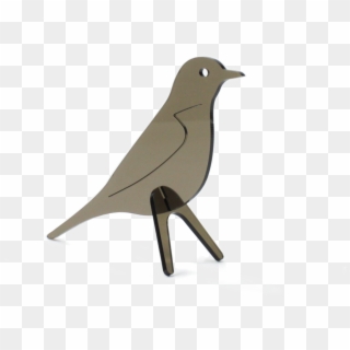 Transparent Png