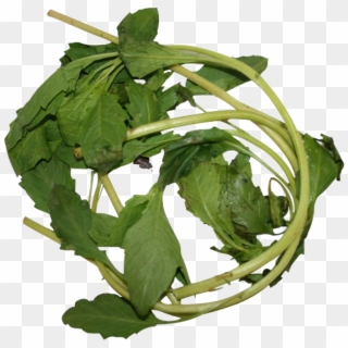 Apazote Fresh Herb - Beet Greens, HD Png Download