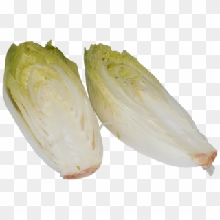 Chicory A Vegetable Vegetables Plant Cabbage - Endive Png, Transparent Png