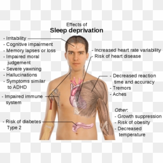 This Guide Gets At The Link Between Anxiety And Sleep - Long Can You Go Without Sleep, HD Png Download