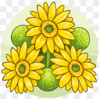 Yellow Germini Daisies - African Daisy, HD Png Download