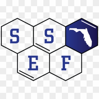 Ssef Florida Ssef Florida - Florida Foundation For Future Scientists, HD Png Download