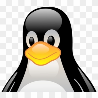 11 Reasons Why Open Source Is Taking Over Enterprise - Linux Penguin Transparent Background, HD Png Download