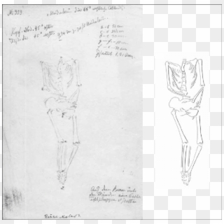 Human Skull Bgaeu-rv 1852 - Sketch, HD Png Download