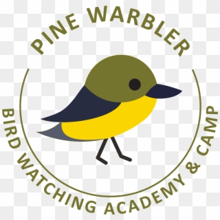 Golden-winged Warbler Clipart , Png Download - Trsic, Transparent Png