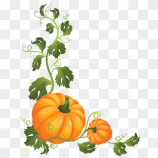 Discover Ideas About Pumpkin Vine - Pumpkin On A Vine Clipart, HD Png Download