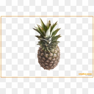 Pineapple Transparent - Pineapple, HD Png Download