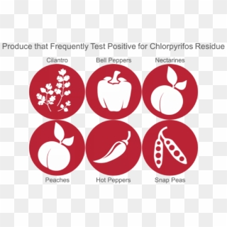 Produce Most Likely To Contain Chlorpyrifos - Emblem, HD Png Download