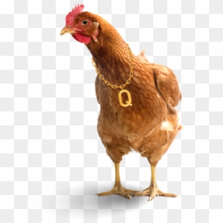 Chicken Head Png Free Download Chicken Head Png Transparent Png 600x600 1787287 Pngfind - chicken mask roblox