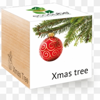 Christmas Trees Packaging, HD Png Download