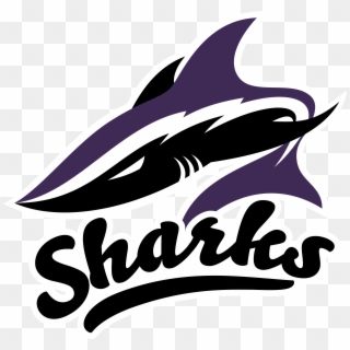 Bay State Sharks - Shark, HD Png Download