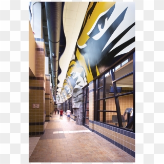 University Of Missouri-columbia - Commercial Building, HD Png Download