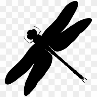 Silhouette Insect Dragonfly Black Animal - Dragonfly Silhouette, HD Png ...