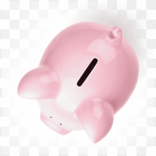 Cheers Piggy Bank 01sara Foster2017 11 09t22 - Domestic Pig, HD Png Download