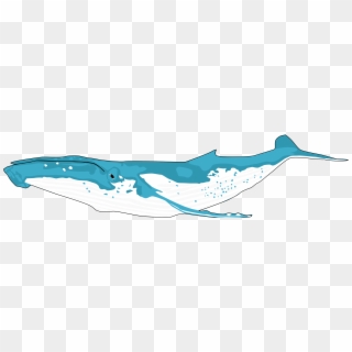 This Free Icons Png Design Of Humpback Whale - Clip Art Humpback Whale, Transparent Png
