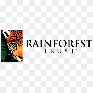 Rainforest - Rainforest Trust Logo, HD Png Download