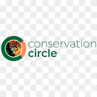 Rainforest Trust Launches Conservation Circle Program - Rainforest Trust, HD Png Download