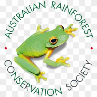 Australian Rainforest Conservation Society, HD Png Download