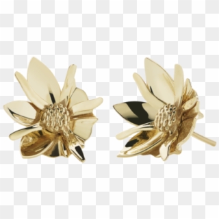Wildflower Earrings Small - Artificial Flower, HD Png Download
