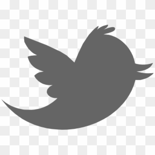 Twitter Grey - Old Twitter Logo Png, Transparent Png