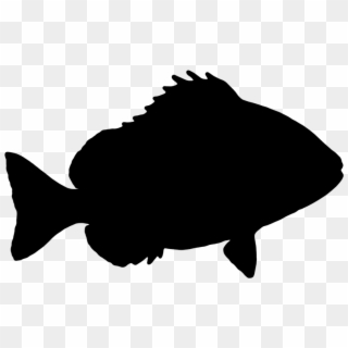 Fish, Sheepshead, The Silhouette, Graphics, Vector, - Fish Silhouette No Background, HD Png Download