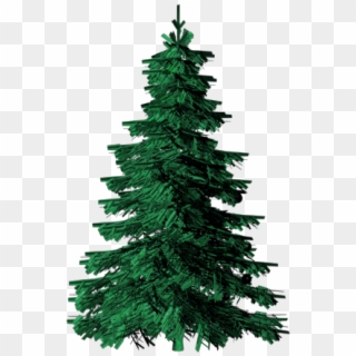 28 Collection Of Free Evergreen Tree Clipart - Evergreen Tree Clipart Transparent, HD Png Download