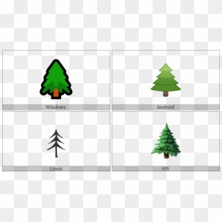 Evergreen Tree On Various Operating Systems - Christmas Tree, HD Png Download