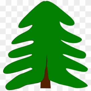 Evergreen Tree Clip Art - Pine Tree Cartoon, HD Png Download
