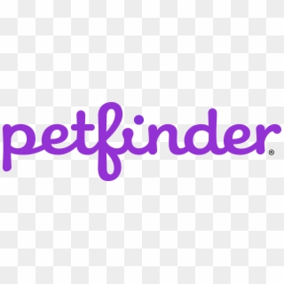 Our Sponsors - Pet Finder Logo, HD Png Download