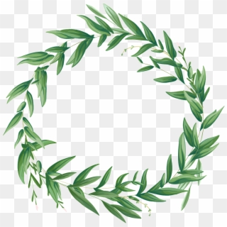 Flower Plant Circle Png Transparent - Green, Png Download