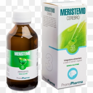 Meristemo 03 Cerebro - Lymph, HD Png Download