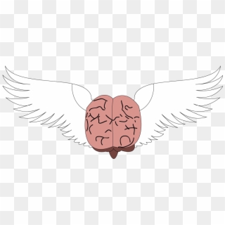 Brain With Wings / Cerebro Alado - Illustration, HD Png Download